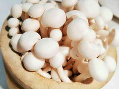 白玉菇-蕃茄述·好汤自然来(江汉路店)