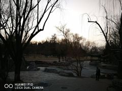 -万柳阁小馆·花园餐厅(龙潭湖店)