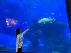 -成都浩海立方海洋公园