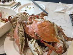 -半岛听涛蒸汽海鲜自助(K11店)