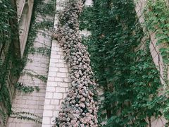 -华谊兄弟（长沙）电影小镇