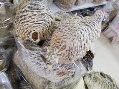 -鸿港海鲜批发市场