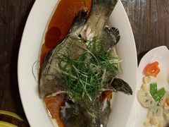 -道南書院·私房菜·早午茶·茶馆