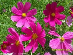 -西安化觉巷清真大寺