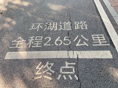 -海珠湖公园