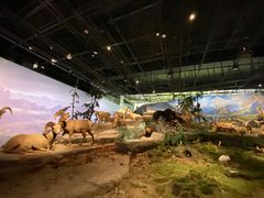 -武汉园博园(武汉自然博物馆)