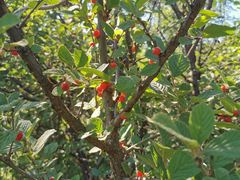 -阳台山自然风景区