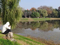 -堤角公园