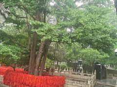 -红螺寺