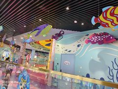 -海合安成都极地海洋公园