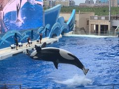 -上海海昌海洋公园
