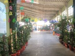 -北黄海温泉度假村