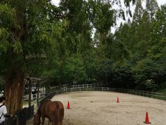 -神户市立六甲山牧场