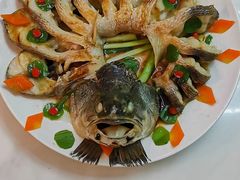 -天鹅到家·保姆月嫂育儿嫂(朝阳店)