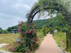 -龙寺生态园