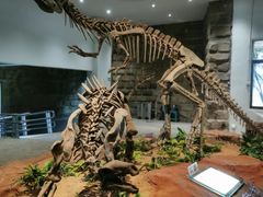 -自贡恐龙博物馆