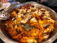 -红京鱼(西坝河店)