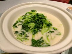 -天福苑(崇宁路店)