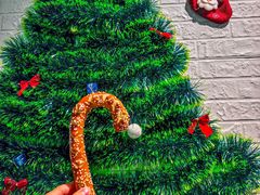 -Mr.Bond Coffee邦德咖啡(神旺店)