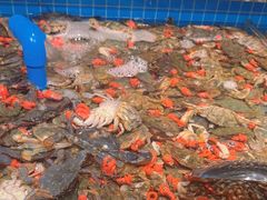 -一方渔歌蒸汽海鲜自助(文化路万达广场店)