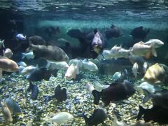 -成都浩海立方海洋公园