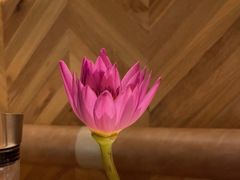 -原石牛扒·约会餐厅(龙城万科里店)