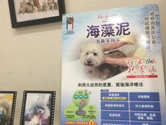 -宠物家(双井店)