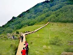 -白草畔自然风景区