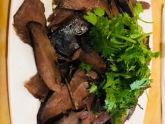驴心-敦煌达记酱驴肉黄面馆