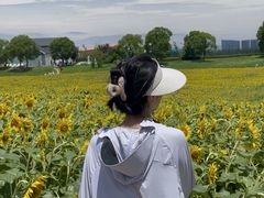 -苏州湾体育公园