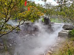 -黄贤森林公园