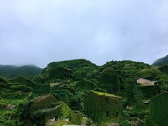 -枸杞岛