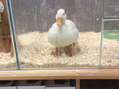 -狗道宠物(常熟印象城店)