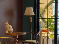 -灯塔咖啡馆BOOK·Coffee Shop