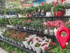 -大润发(张江店)