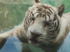 -杭州野生动物世界