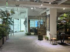 -大视光学•LINDBERG林德伯格•全球手工眼镜集合店(王府井店)