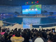 -泉城欧乐堡海洋极地世界