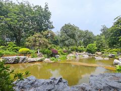 -东莞植物园