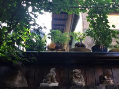 恺庐-恺庐茶园(宽窄巷子景区店)