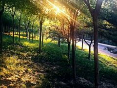 -石家庄市动物园