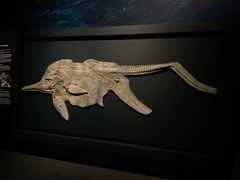 -澳大利亚国家海事博物馆