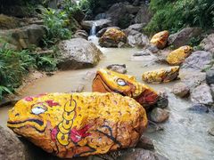 -南海湾森林生态园