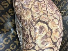 -甘肃国际会展中心