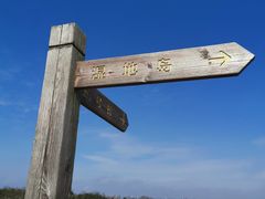 -春花秋色城市公园