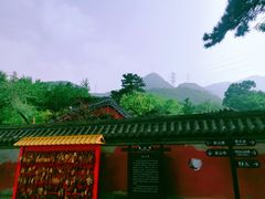 -阳台山自然风景区