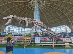 -诸城市恐龙博物馆