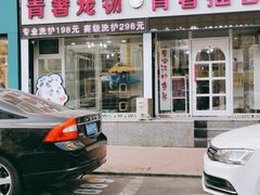 -青奢宠物·青奢猫舍