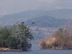 -三岔湖景区