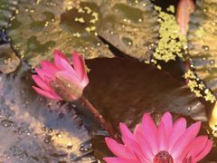 -国家植物园南园